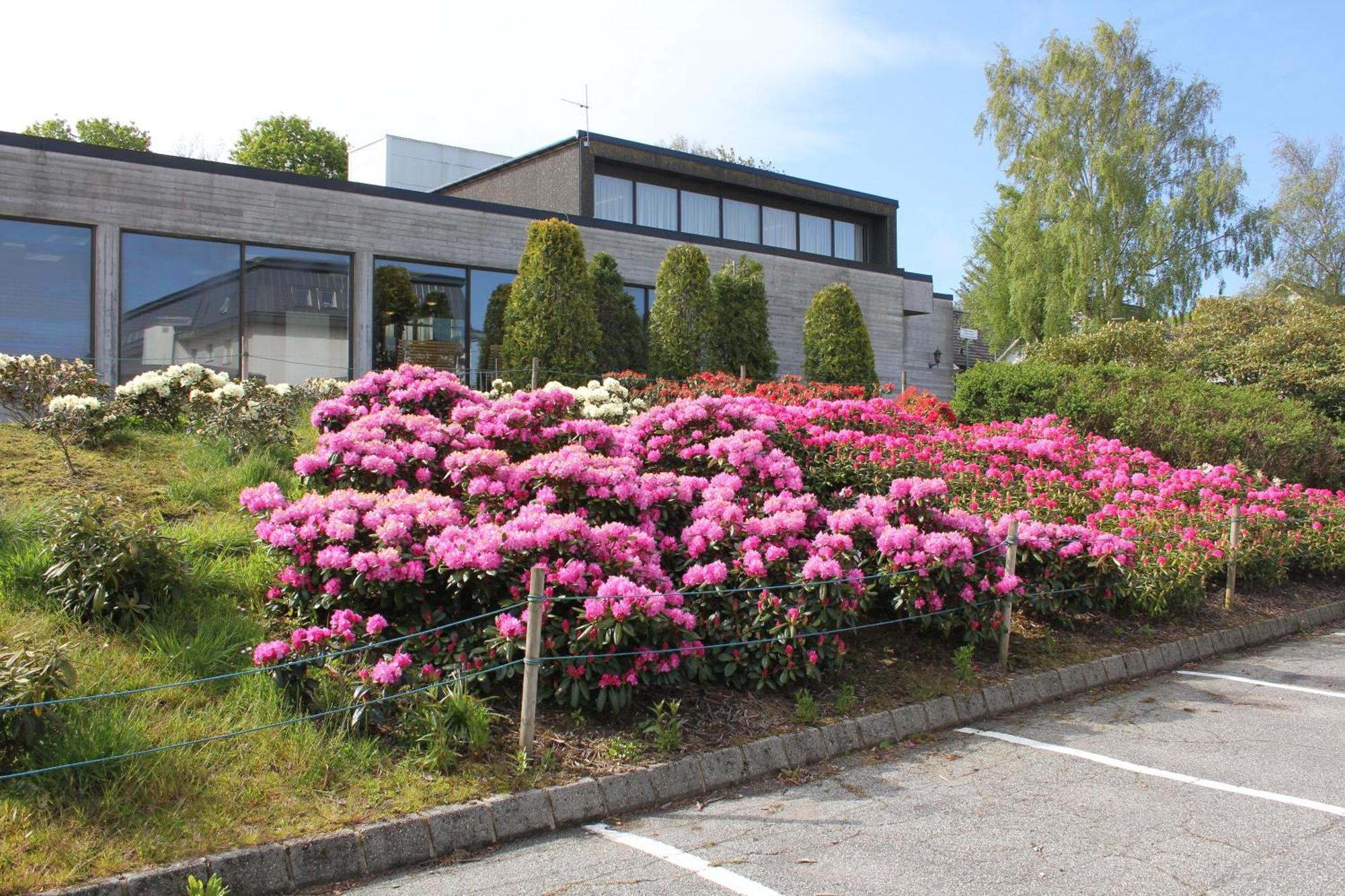 Solborg Folkehogskole Hostel Stavanger Luaran gambar