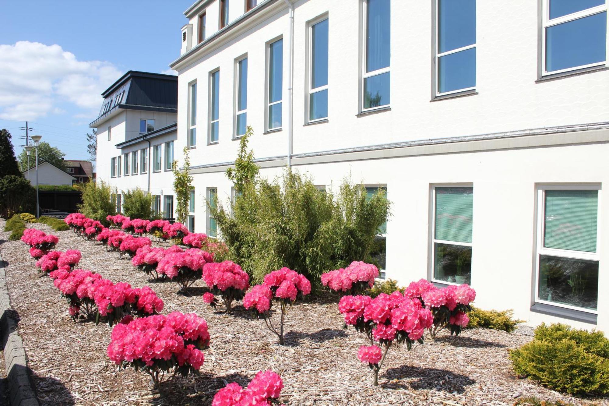 Solborg Folkehogskole Hostel Stavanger Luaran gambar